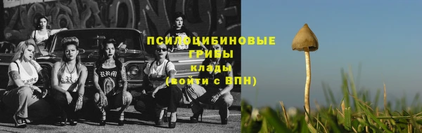 ECSTASY Алексеевка