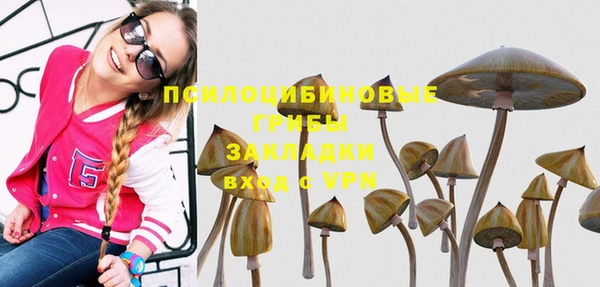 ECSTASY Алексеевка