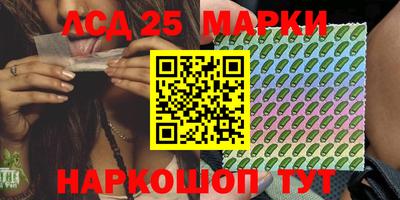 ешки Владимир