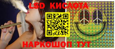 ешки Владимир