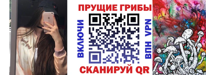 наркота  omg вход  Псилоцибиновые грибы Magic Shrooms  Морозовск 