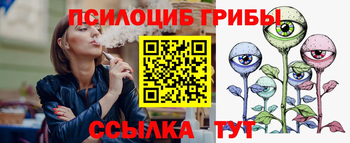 закладки  Вход с VPN  Морозовск  Галлюциногенные грибы мицелий 